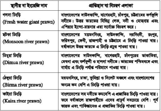 চিংড়ি পরিচিতি, জীববিদ্যা ও চাষ ব্যবস্থাপনা