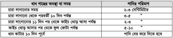 ধানের সাথে মাছের চাষ