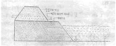 ফিস কালচার অ্যান্ড ব্রিডিং - ১ প্রথমপত্র ব্যবহারিক