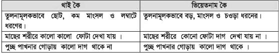 ভিয়েতনাম কৈ মাছের গুরুত্ব