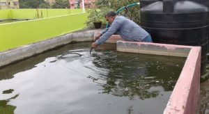 মাছ চাষের আধুনিক কৌশল
