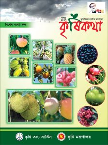 মাছ চাষের ঘরোয়া পদ্ধতি রাস