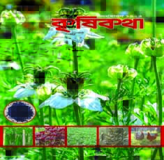 মাছ সংরক্ষণ পদ্ধতি