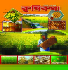 অ্যাকুরিয়ামে বাহারি মাছ