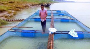 খাঁচায় মাছ চাষ ও সংরক্ষণ