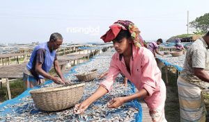 মাছ সংরক্ষণ পদ্ধতি