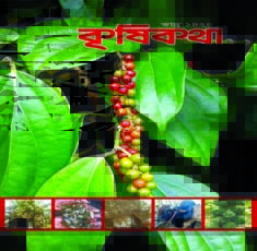 ধানক্ষেতে মাছ ও চিংড়ি চাষ