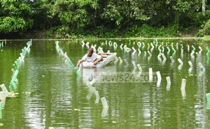 স্বাদুপানির ঝিনুকে মুক্তা চাষ