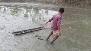 মাছ চাষের জন্য পুুকুর প্রস্তুতির বিভিন্ন ধাপ