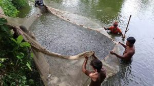 মাছ চাষে করণীয়