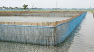 মৎস্য চাষ ব্যবস্থাপনায় যান্ত্রিকীকরণ