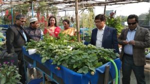 অ্যাকোয়াপনিক্স পদ্ধতিতে মাছ ও সবজির সমন্বিত চাষ
