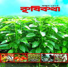 মাছ চাষে করণীয়