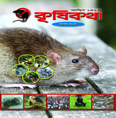 আয় বাড়াতে কাঁকড়া চাষ