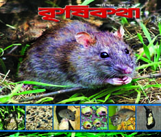 লবণাক্ত এলাকায় মিনিপুকুরে বৃষ্টির পানি সংরক্ষণ