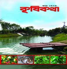 কুঁচিয়া মাছের নিয়ন্ত্রিত প্রজনন ও পোনা উৎপাদন কৌশল
