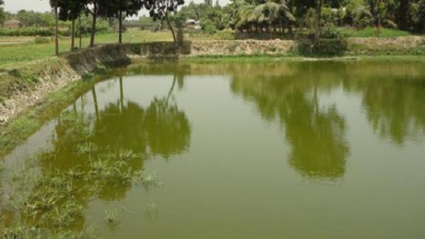 লবণাক্ত এলাকায় মিনিপুকুরে বৃষ্টির পানি সংরক্ষণ