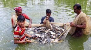 বাংলাদেশের আর্থসামাজিক উন্নয়নে মৎস্য খাতের ভূমিকা
