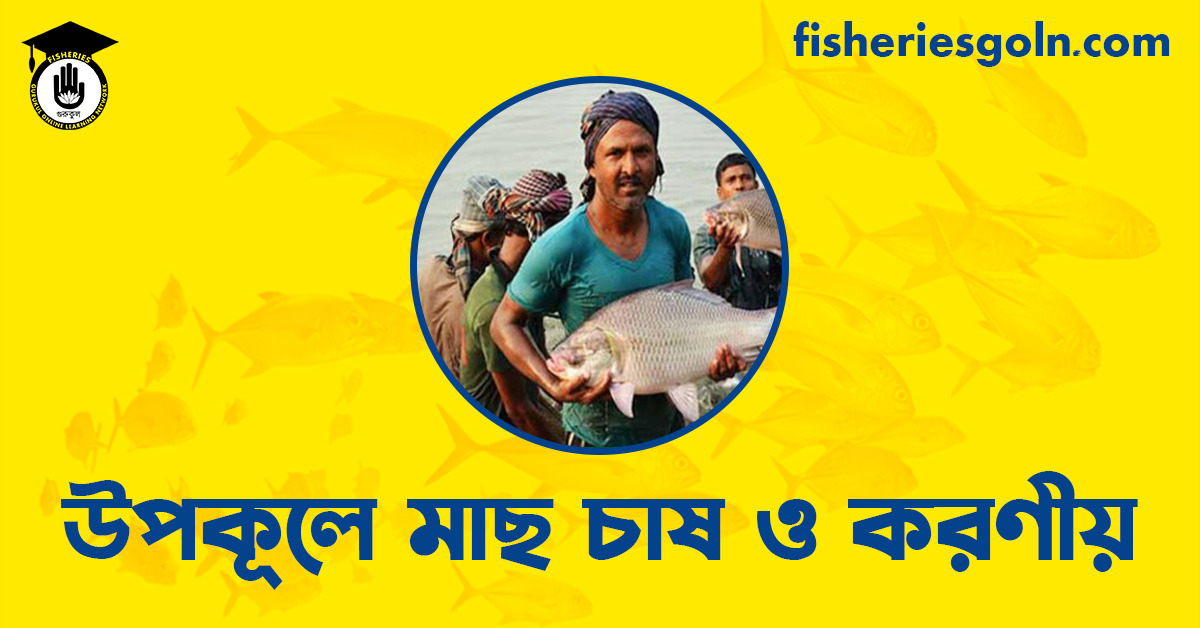 উপকূলে মাছ চাষ ও করণীয়