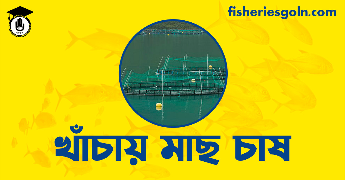 খাঁচায় মাছ চাষ