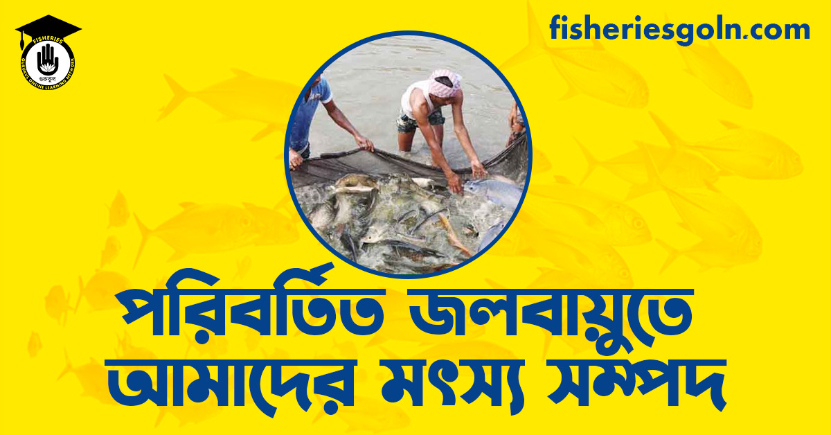 পরিবর্তিত জলবায়ুতে আমাদের মৎস্য সম্পদ