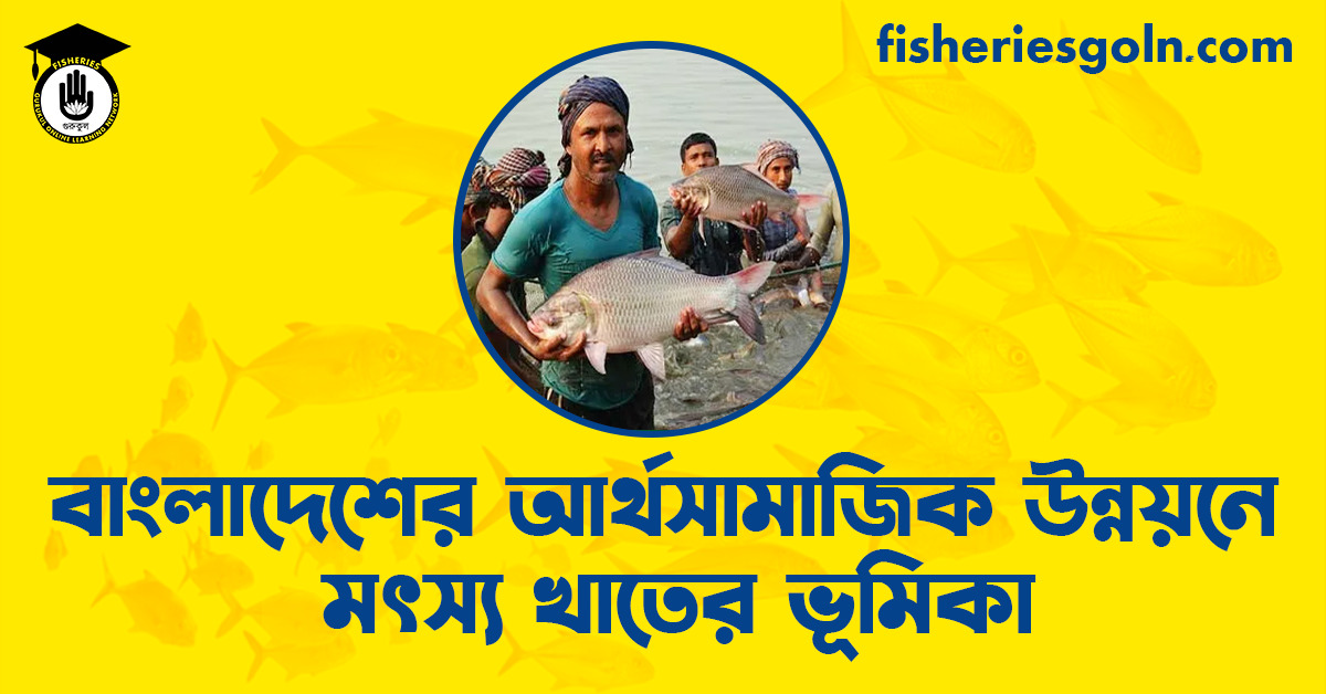 বাংলাদেশের আর্থসামাজিক উন্নয়নে মৎস্য খাতের ভূমিকা