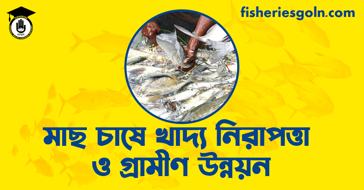 মাছ চাষে খাদ্য নিরাপত্তা ও গ্রামীণ উন্নয়ন