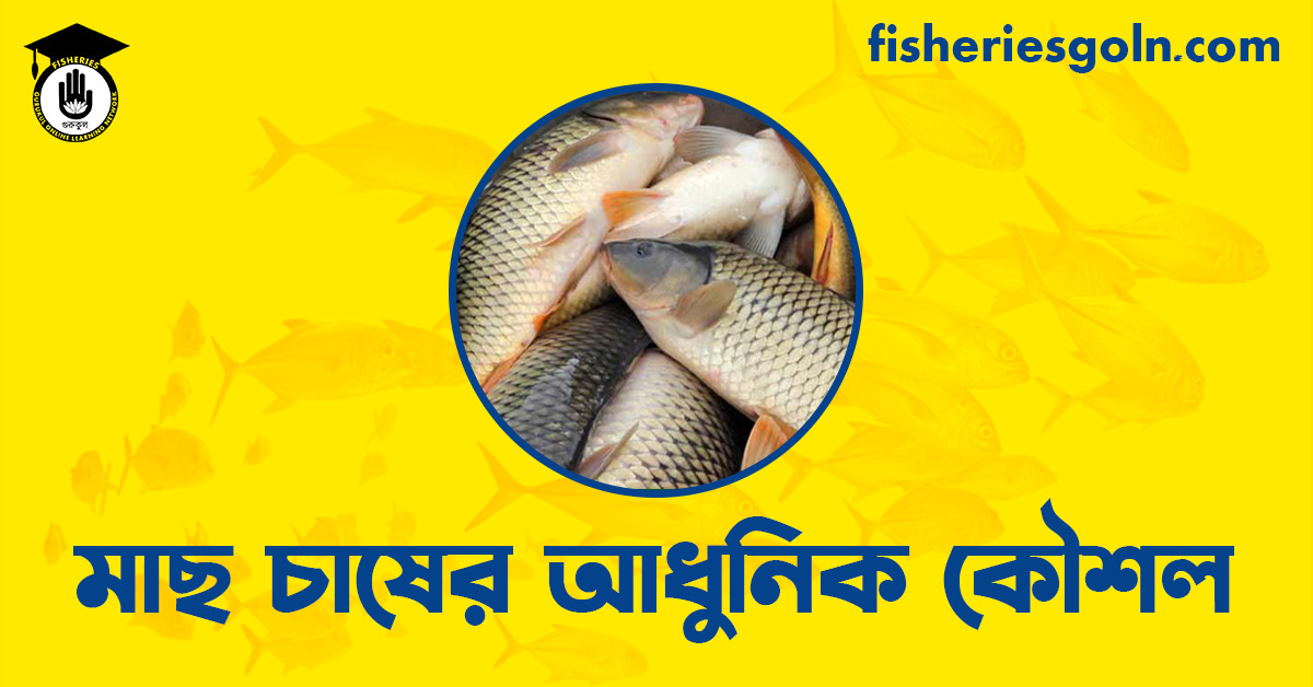 মাছ চাষের আধুনিক কৌশল
