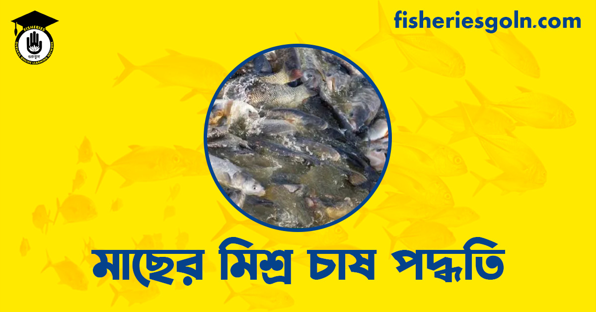 মাছের মিশ্র চাষ পদ্ধতি