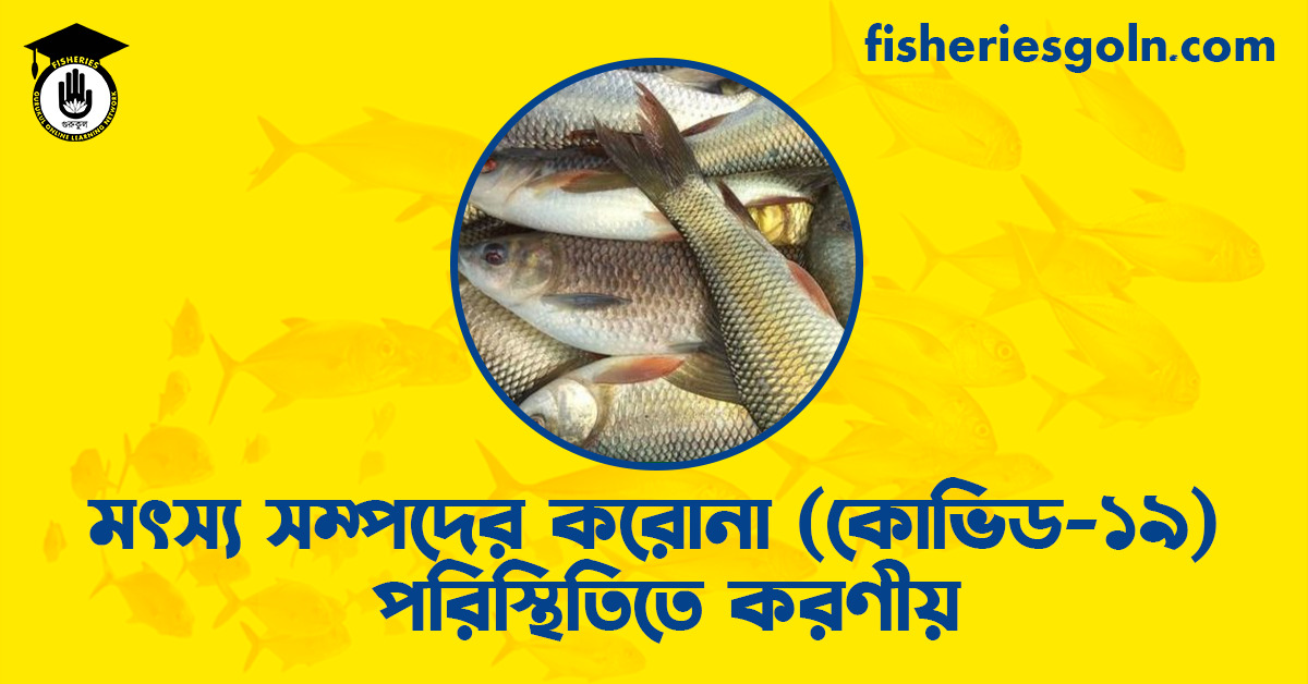 মৎস্য সম্পদের করোনা (কোভিড-১৯) পরিস্থিতিতে করণীয়