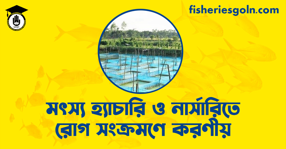 মৎস্য হ্যাচারি ও নার্সারিতে রোগ সংক্রমণে করণীয়