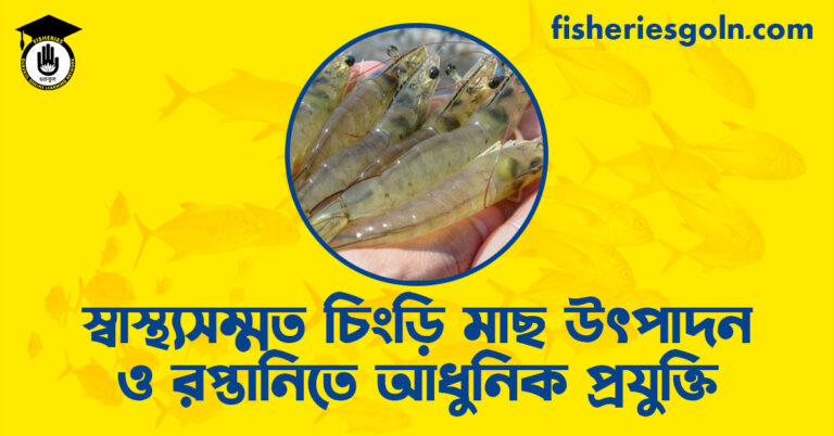 স্বাস্থ্যসম্মত চিংড়ি মাছ উৎপাদন ও রপ্তানিতে আধুনিক প্রযুক্তি