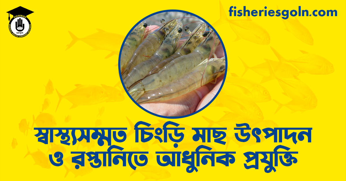 স্বাস্থ্যসম্মত চিংড়ি মাছ উৎপাদন ও রপ্তানিতে আধুনিক প্রযুক্তি