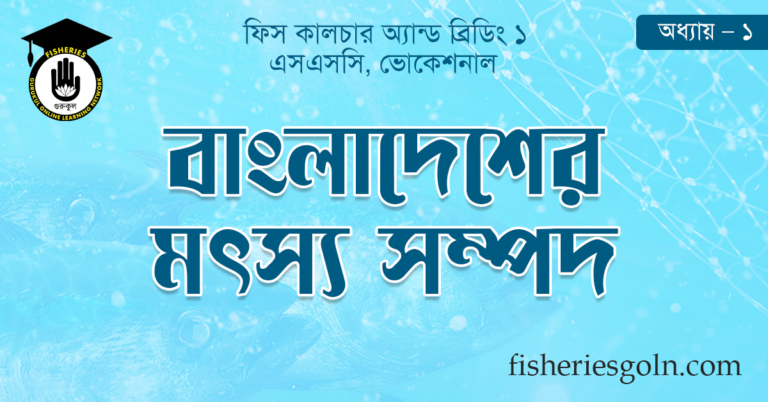বাংলাদেশের মৎস্য সম্পদ