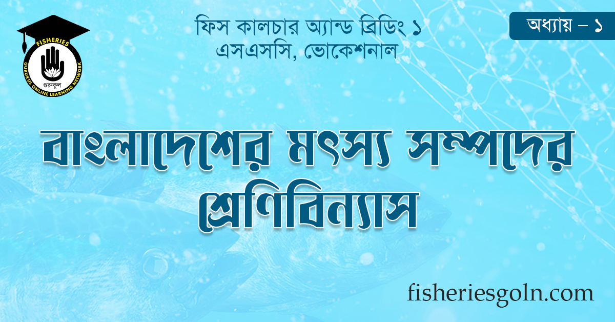 বাংলাদেশের মৎস্য সম্পদের শ্রেণিবিন্যাস