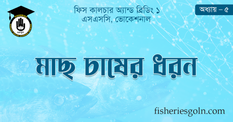 মাছ চাষের ধরন