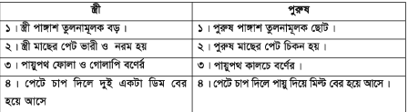 থাই পাঙ্গাশ মাছের রেণুর পরিচর্যা ও খাদ্য প্রয়োগ