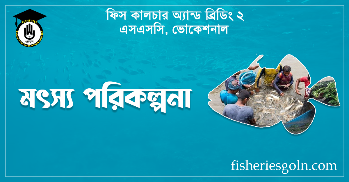 মৎস্য পরিকল্পনা