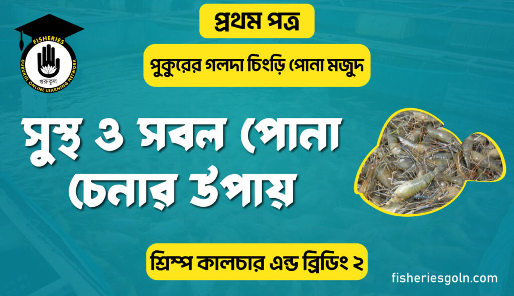 সুস্থ ও সবল পোনা চেনার উপায় | অধ্যায়-৫ | শ্রিম্প কালচার এন্ড ব্রিডিং-২