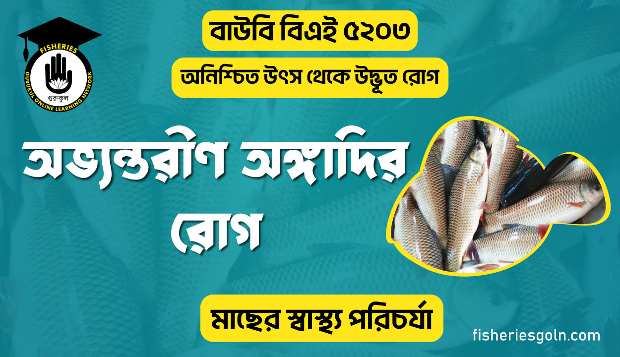 অভ্যন্তরীণ অঙ্গাদির রোগ