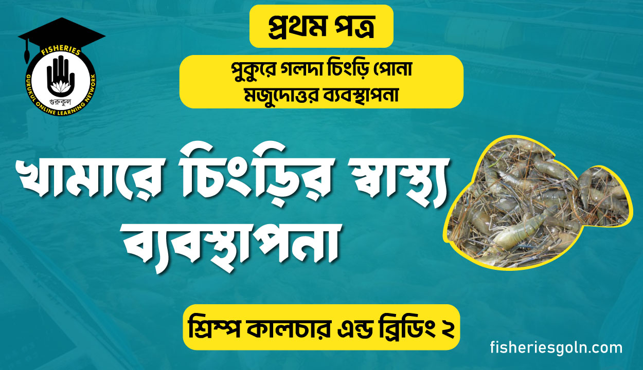 খামারে চিংড়ির স্বাস্থ্য ব্যবস্থাপনা | অধ্যায়-৬ | শ্রিম্প কালচার এন্ড ব্রিডিং-২