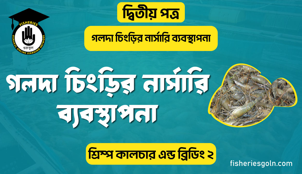 গলদা চিংড়ির নার্সারি ব্যবস্থাপনা | অধ্যায়-৪র্থ | শ্রিম্প কালচার এন্ড ব্রিডিং-২