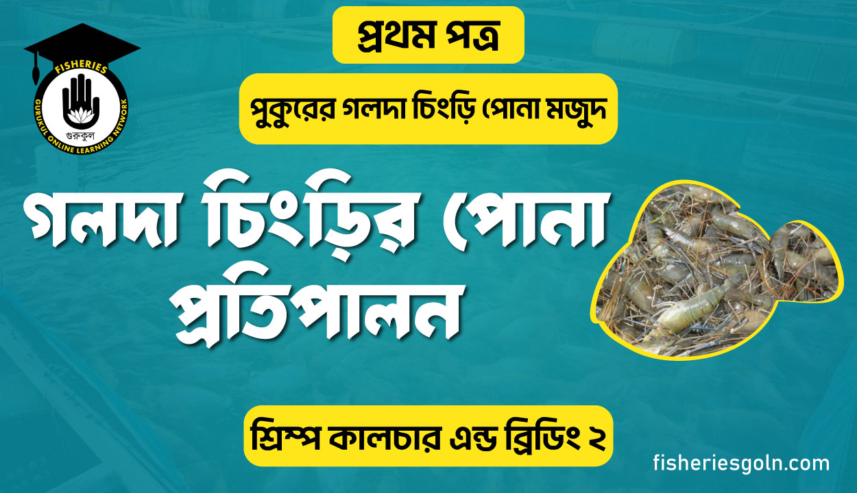 গলদা চিংড়ির পোনা প্রতিপালন | অধ্যায়-৫ | শ্রিম্প কালচার এন্ড ব্রিডিং-২