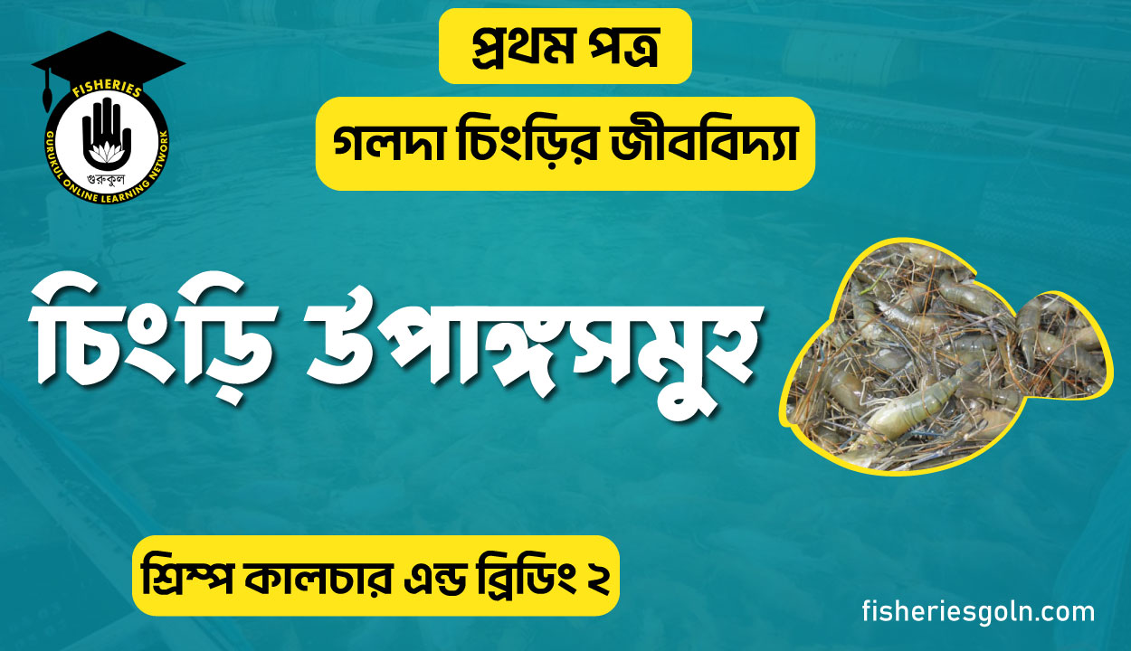 চিংড়ির উপাঙ্গসমূহ | অধ্যায়-১ | শ্রিম্প কালচার এন্ড ব্রিডিং-২