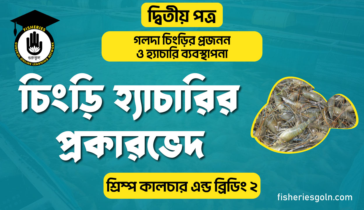 চিংড়ি হ্যাচারির প্রকারভেদ | অধ্যায়-৪র্থ | শ্রিম্প কালচার এন্ড ব্রিডিং-২