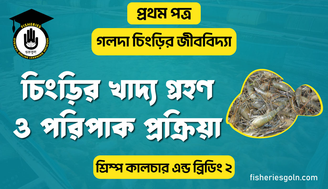 চিংড়ির খাদ্য গ্রহণ ও পরিপাক প্রক্রিয়া | অধ্যায়-১ | শ্রিম্প কালচার এন্ড ব্রিডিং-২