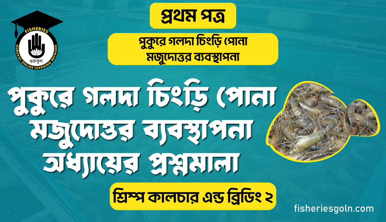 পুকুরে গলদা চিংড়ি পোনা মজুদোত্তর ব্যবস্থাপনা অধ্যায়ের প্রশ্নমালা | অধ্যায়-৬ | শ্রিম্প কালচার এন্ড ব্রিডিং-২