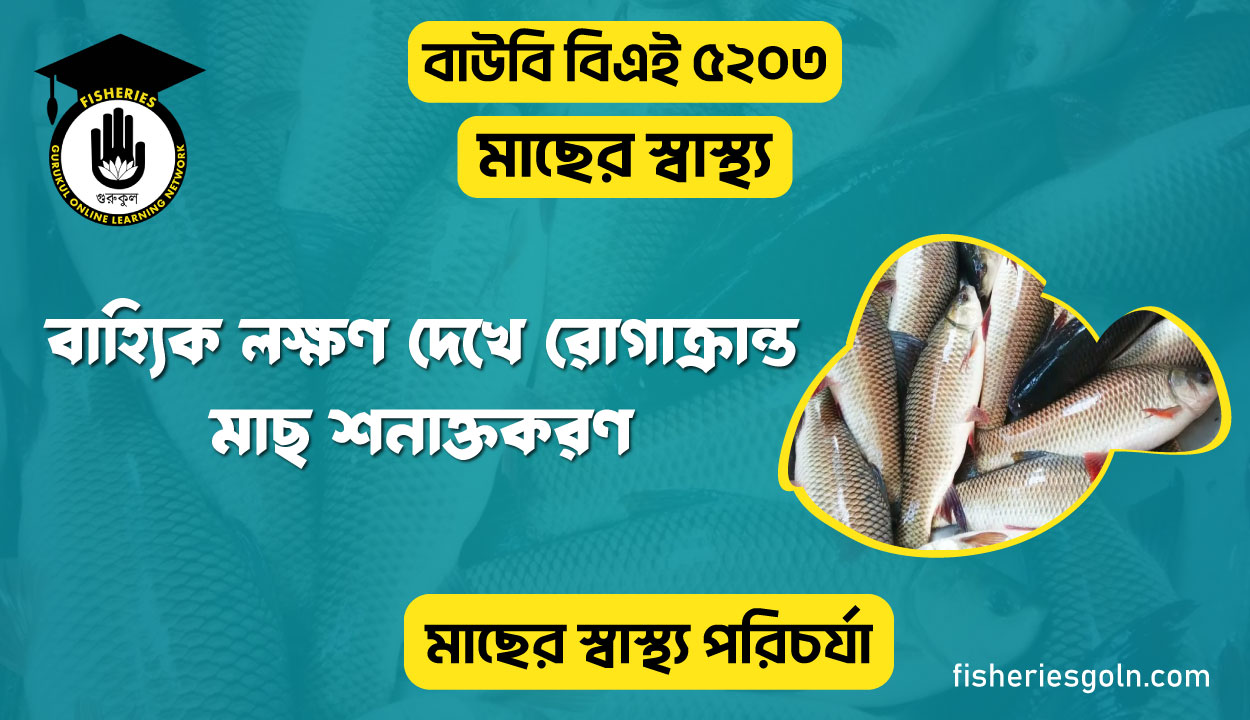 বাহ্যিক লক্ষণ দেখে রোগাক্রান্ত মাছ শনাক্তকরণ
