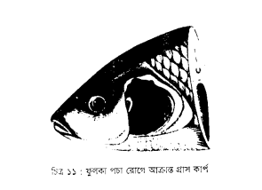 ব্যাকটেরিয়াজনিত রোগ