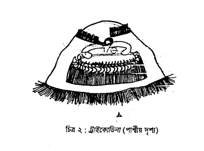 সাধারণ মৎস্য পরজীবী ও তার বৈশিষ্ট্য